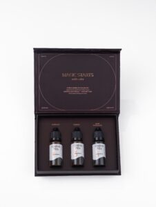 Eyebrow Hybrid Set ‘TRIO’